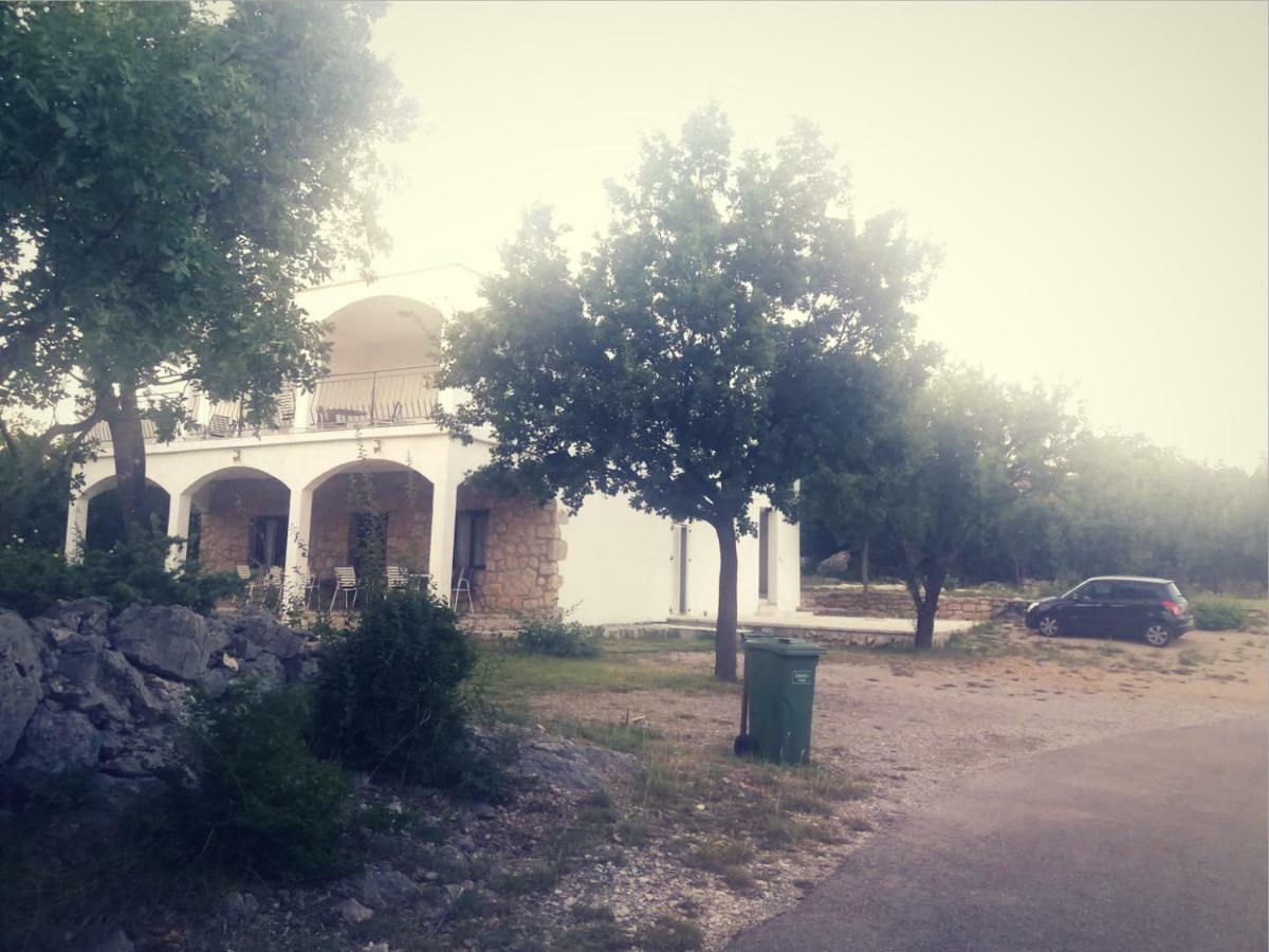 Apartmani Lucija Maslenica Εξωτερικό φωτογραφία